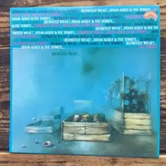 ブライアン・オーガー2ndデフィニットリー・ホワット紙ジャケット仕様