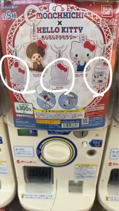 Item thumbnail for item 69a63018-b262-4a39-8a2c-cc13f916667f