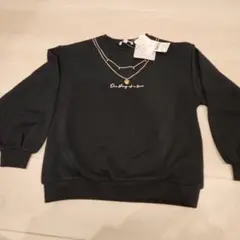 Item thumbnail for item 9c62fc93-5751-4c04-9150-82ec8c54c842