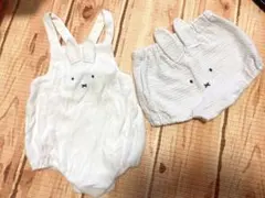 プティマイン ミッフィー