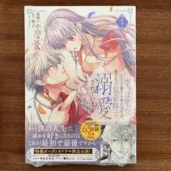 空っぽ聖女として捨てられたはずが、嫁ぎ先の皇帝陛下に溺愛されています 5