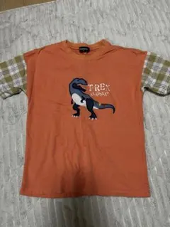 クレードスコープ130恐竜tシャツ