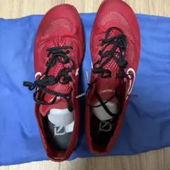 Nike ドラゴンフライ2 26.5cm 2026年最新】dragon fly ケースの人気アイテム - メルカリ