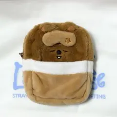 straykids ペンミ コレクトケース ハンクオッカ トレカ ハン