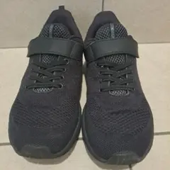 Item thumbnail for item cc25b39a-06de-4fcc-a409-07ea5e500d83