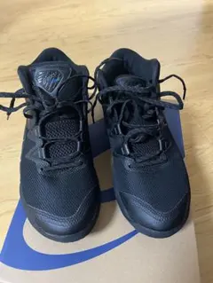 Item thumbnail for item df01390b-ea5e-418b-8463-fa3d1cb39979