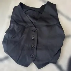 ブラックノースリーブベスト