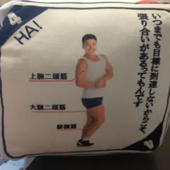 なかやまきんに君 クッション 筋肉図解