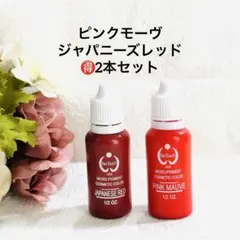 アートメイクマシン　バイオタッチ社　赤色素1個付き　美品 アートメイクマシン バイオタッチ社 赤色素1個付き 美品 アート