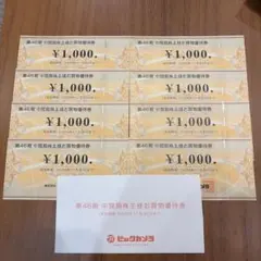 ビックカメラ 株主優待　8,000円分