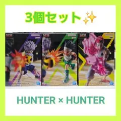 HUNTER×HUNTER フィギュア5体セット ゴン キルア ヒソカ クラピカ
