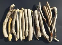 Item thumbnail for item eb2e21ed-eb0a-4c4a-94e9-a6a494f4042b