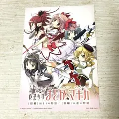 ピシッと様専用 エロゲ販促ポスター4枚セット - メルカリ