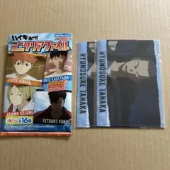 ハイキュー　ミニクリアファイル　田中龍之介２枚セット