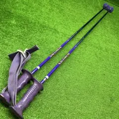 2026年最新】スキー カーボン ストックの人気アイテム - メルカリ