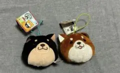 忠犬もちしば　フェイスマスコット 柴犬ぬいぐるみ2点セット 黒柴　タグ付き