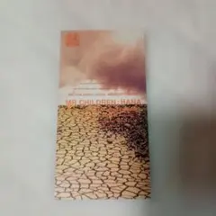 Mr.Children 花 -Memento-Mori- シングルCD