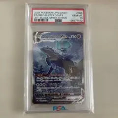 ポ*ン様 【PSA10】こくばバドレックスVMAX