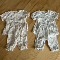 動物柄 cottoli パジャマ2着セット 色違い