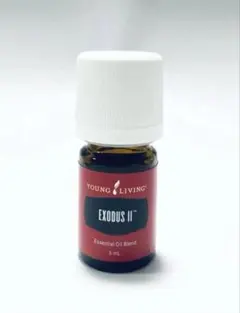 2026年最新】エクソダス ヤングの人気アイテム - メルカリ