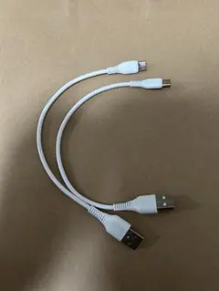 USB C to Micro USBケーブル 約20cm 2本