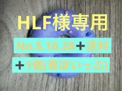 HLF 전용 ♡ 커스텀 도넛 4종 세트 ♡