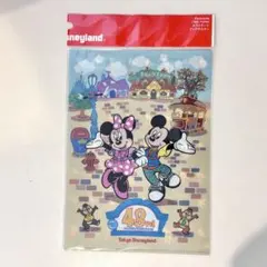 東京ディズニーランド 43周年 クリアファイルのみ