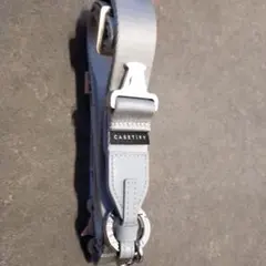 Item thumbnail for item 8335379d-49bf-4f7d-b843-be31a778e366