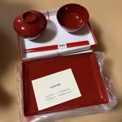 お食い初め 食器 赤 2セット分