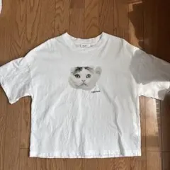 niko and ... 猫プリント 半袖Tシャツ ホワイト 3
