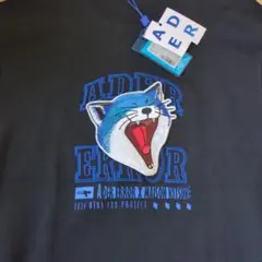 ADER ERROR x MAISON KITSUNÉ Tシャツ A2 ブラックのサムネイル