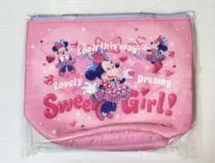 ディズニー ミニーのファンダーランド スーベニア ランチケース 未開封品