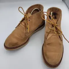 Item thumbnail for item 2444f63c-0bb3-47df-8626-55d31e936f03