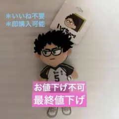 ハイキュー 及川徹 ジロリぬいぐるみ ❹❹ - メルカリ