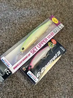 Item thumbnail for item 85ede669-d61b-4d6f-bd81-37d3d7eb80cf