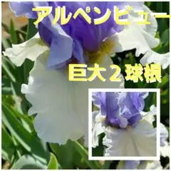 user_ed4f7031様 リクエスト 2点 まとめ商品