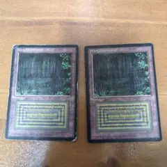 MTG Bayou イタリア語　3ED(FBB) 黒枠　デュアルランド s-l1200.jpg