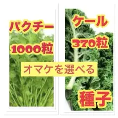 Subaru様 リクエスト 2点 まとめ商品