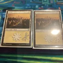 mtg スパイダーマン　森　4枚セット　サインド mtg スパイダーマン 森 4枚セット サインド - メルカリ