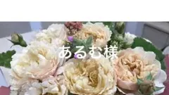 あるむ様　ご確認用
