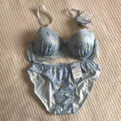 Item thumbnail for item 63e152fc-747f-4d47-aee5-26920897810c