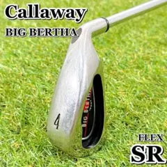 Item thumbnail for item 6916ed47-bd40-41d1-a592-08909cdb65c1