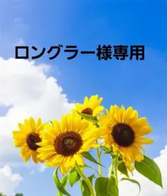革靴のサムネイル