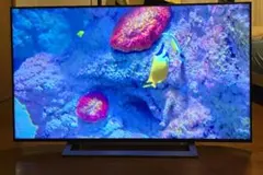 1都4県配送無料 TOSHIBA REGZA 55M540X 4K 大型 テレビ - メルカリ
