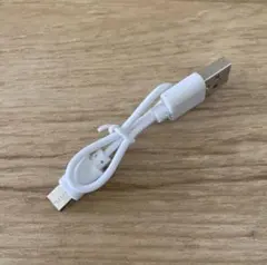 【未使用品】USB-A to USB-C 充電ケーブル 0.2m 20センチ