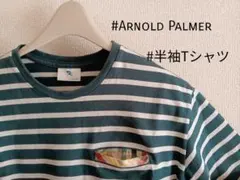 【Arnold Palmer】半袖ストライプTシャツ