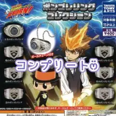 ②【コンプリート】家庭教師ヒットマン リボーン ボンゴレリング コレクション