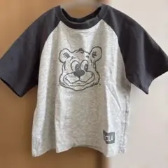 UCLA Tシャツ　100-110cm