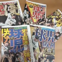 2023 関西スポーツ新聞 記念5紙セット 阪神優勝 - メルカリ