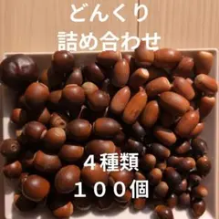 木の実　詰め合わせ　１００個　マテバシイ　くぬぎ　アラカシ　栃の実　どんぐり